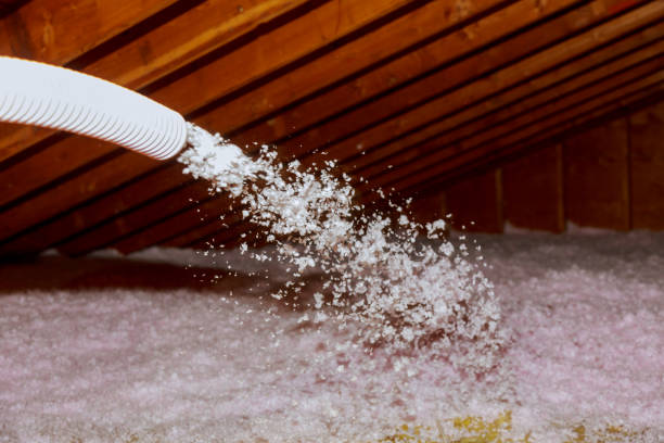 Trusted North Muskegon, MI Insulation Contractor Experts