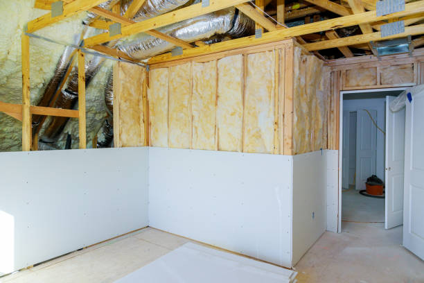 Best Insulation Contractor Near Me  in North Muskegon, MI