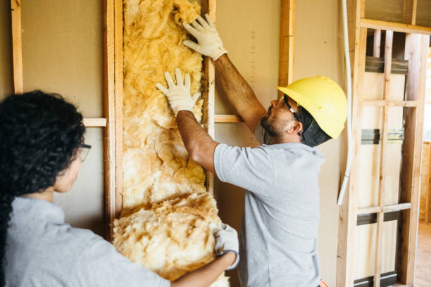  North Muskegon, MI Insulation Contractor Pros