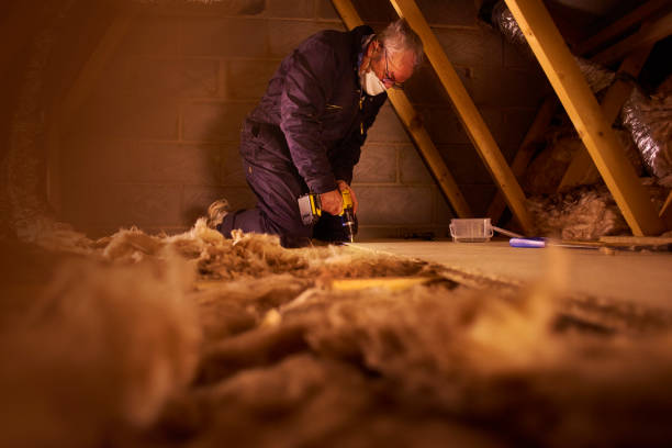 Insulation Replacement Services in North Muskegon, MI